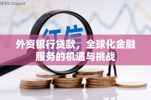 石龙外资银行贷款，全球化金融服务的机遇与挑战
