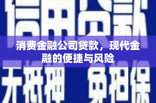 石龙消费金融公司贷款，现代金融的便捷与风险