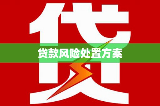 石龙贷款风险处置方案