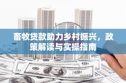 石龙畜牧贷款助力乡村振兴，政策解读与实操指南