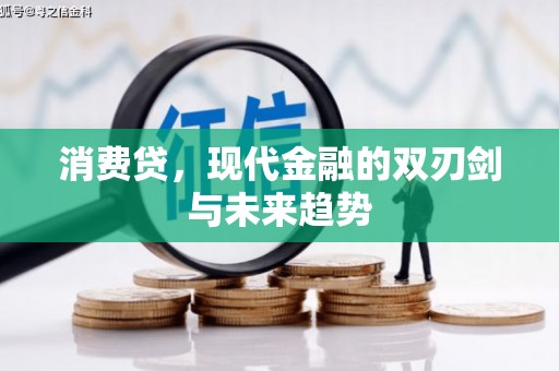 石龙消费贷，现代金融的双刃剑与未来趋势