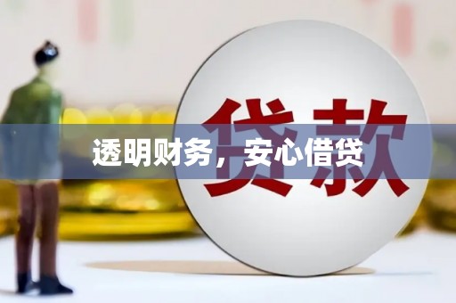 石龙透明财务，安心借贷