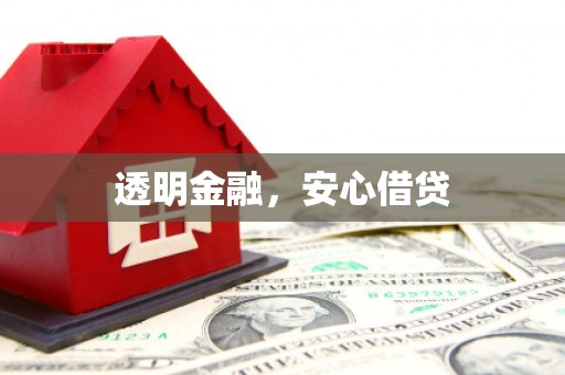 石龙透明金融，安心借贷