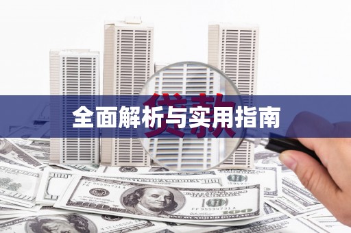 石龙全面解析与实用指南