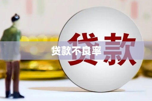 石龙贷款不良率