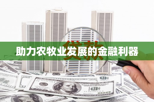 石龙助力农牧业发展的金融利器