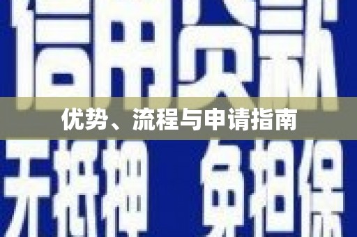 石龙优势、流程与申请指南