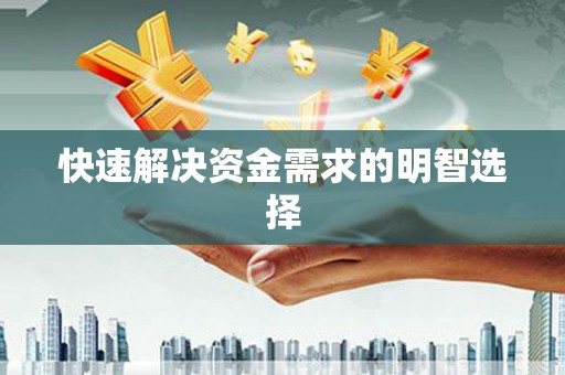 石龙快速解决资金需求的明智选择