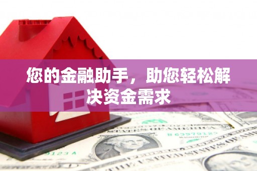 石龙您的金融助手，助您轻松解决资金需求