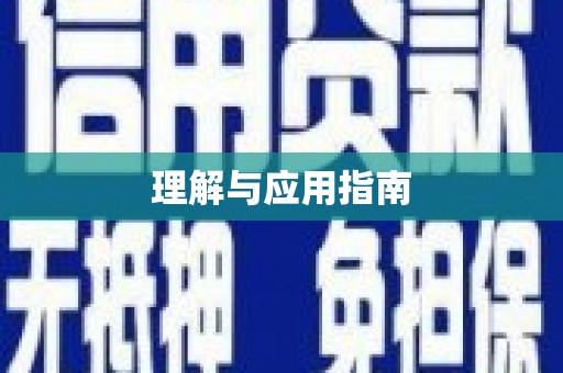 石龙理解与应用指南