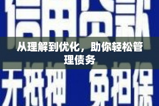 石龙从理解到优化，助你轻松管理债务