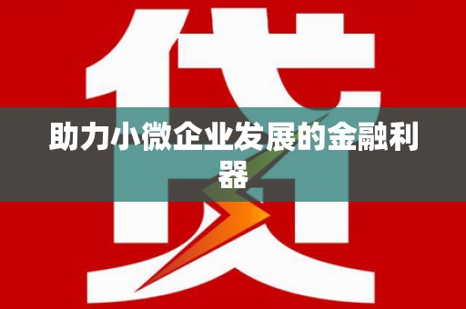 石龙助力小微企业发展的金融利器