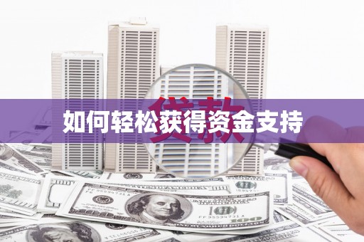 石龙如何轻松获得资金支持