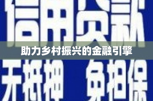 石龙助力乡村振兴的金融引擎