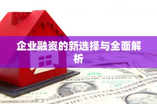 石龙企业融资的新选择与全面解析