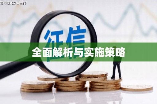 石龙全面解析与实施策略