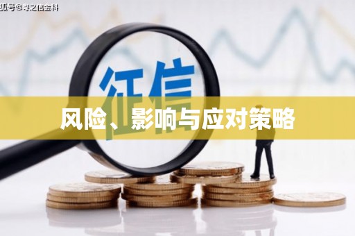 石龙风险、影响与应对策略