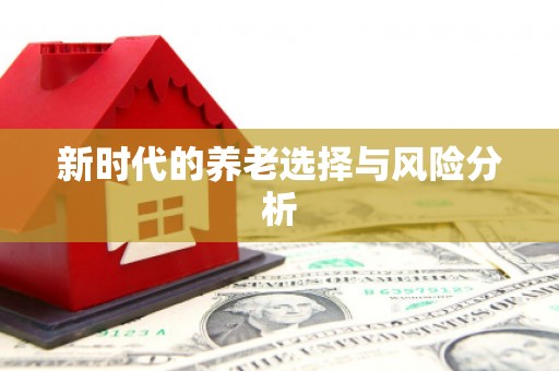 石龙新时代的养老选择与风险分析