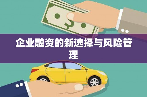 石龙企业融资的新选择与风险管理