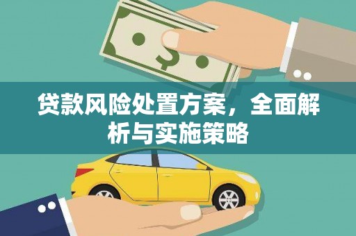 石龙贷款风险处置方案，全面解析与实施策略