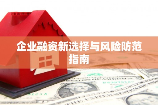 石龙企业融资新选择与风险防范指南