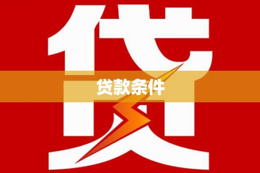 石龙贷款条件