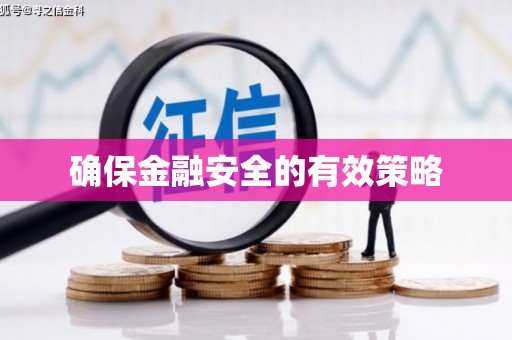 石龙确保金融安全的有效策略
