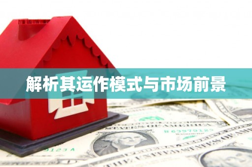 石龙解析其运作模式与市场前景