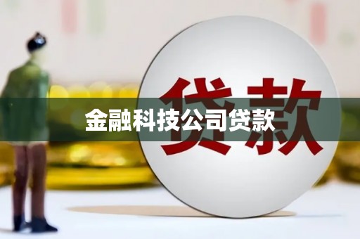 石龙金融科技公司贷款