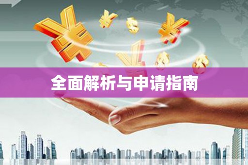 石龙全面解析与申请指南