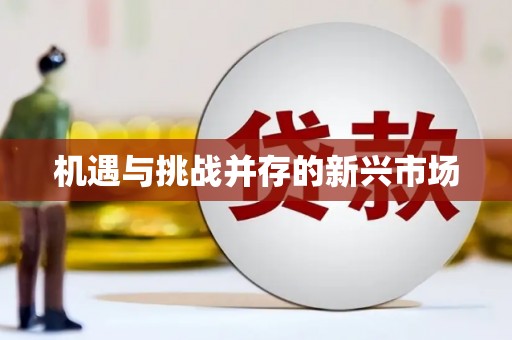 石龙机遇与挑战并存的新兴市场
