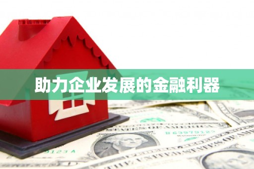 石龙助力企业发展的金融利器