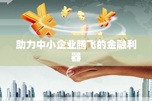 石龙助力中小企业腾飞的金融利器