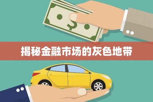 石龙揭秘金融市场的灰色地带