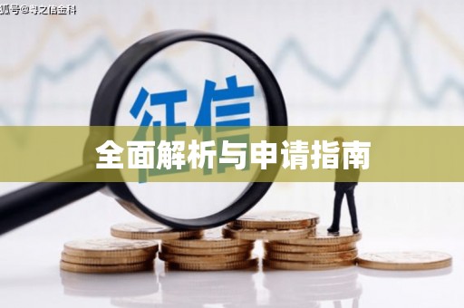 石龙全面解析与申请指南