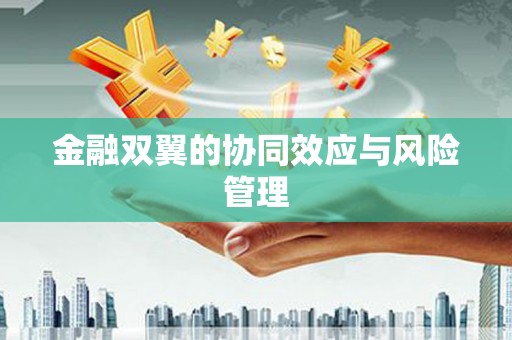石龙金融双翼的协同效应与风险管理