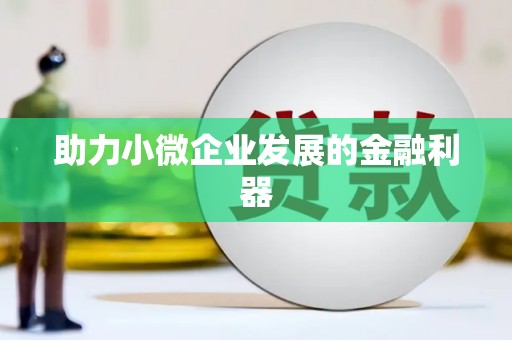 石龙助力小微企业发展的金融利器
