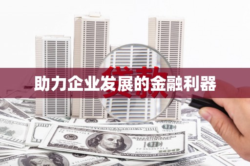 石龙助力企业发展的金融利器