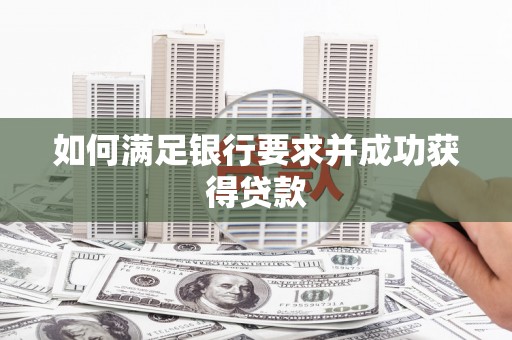 石龙如何满足银行要求并成功获得贷款