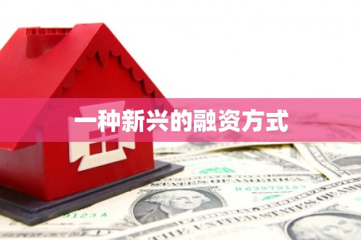 石龙一种新兴的融资方式