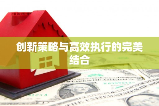 石龙创新策略与高效执行的完美结合