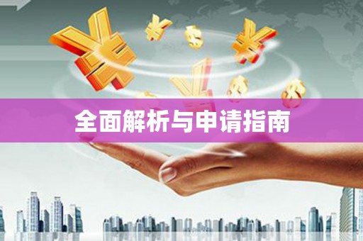 石龙全面解析与申请指南