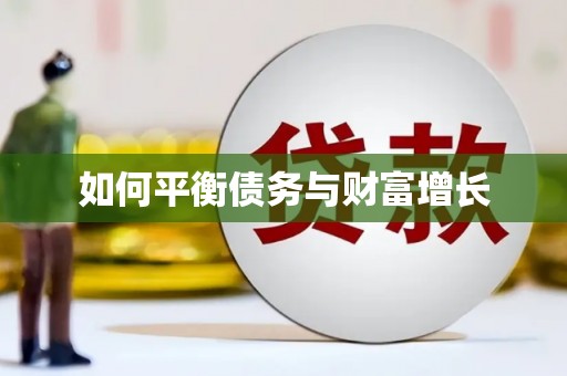 石龙如何平衡债务与财富增长