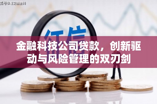 石龙金融科技公司贷款，创新驱动与风险管理的双刃剑