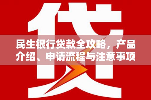 石龙民生银行贷款全攻略，产品介绍、申请流程与注意事项